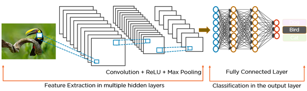 Convolution Neural Network